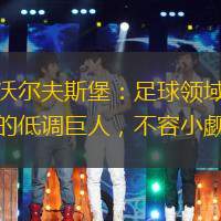 沃爾夫斯堡：足球領域的低調(diào)巨人，不容小覷