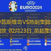 02月23日英超第26輪伊普斯維奇vs熱刺進球視頻