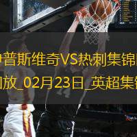 02月23日英超第26輪伊普斯維奇vs熱刺進(jìn)球視頻