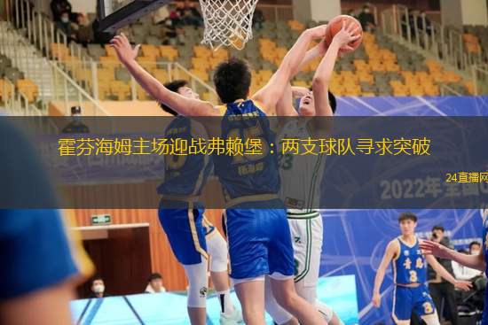 霍芬海姆主場(chǎng)迎戰(zhàn)弗賴堡：兩支球隊(duì)尋求突破
