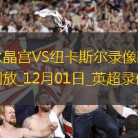 英超第13輪水晶宮1-1紐卡斯爾聯