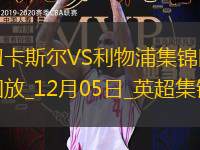 12月05日英超第14輪紐卡斯?fàn)杤s利物浦進(jìn)球視頻