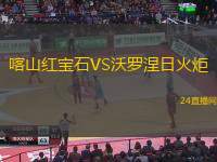 喀山紅寶石VS沃羅涅日火炬