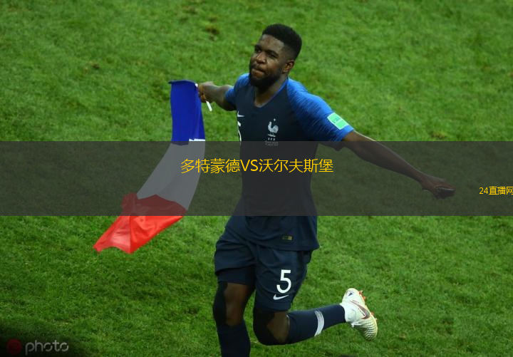 多特蒙德VS沃爾夫斯堡