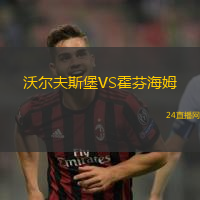 沃爾夫斯堡VS霍芬海姆