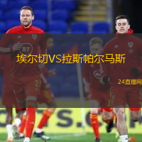 埃爾切VS拉斯帕爾馬斯