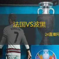 法國VS波黑