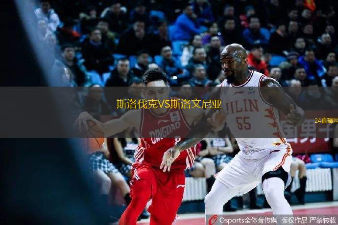 斯洛伐克VS斯洛文尼亞